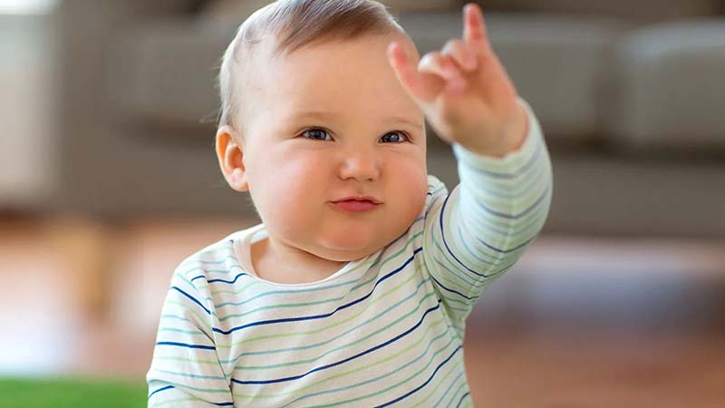 Descargar Libro de Lenguaje de Señas para Bebés en PDF Gratis